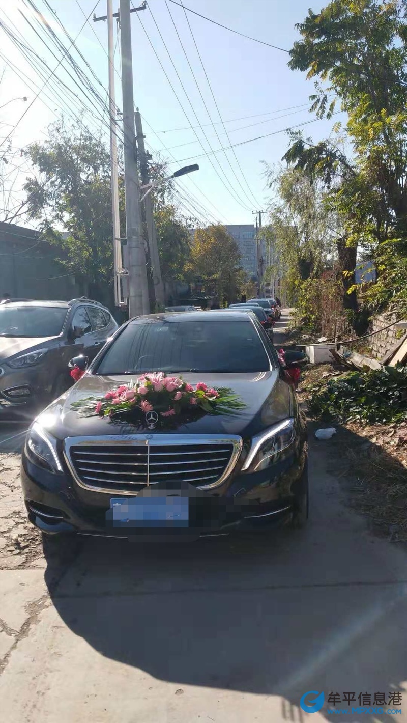 牟平婚車車隊