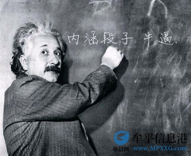 商務(wù)司機