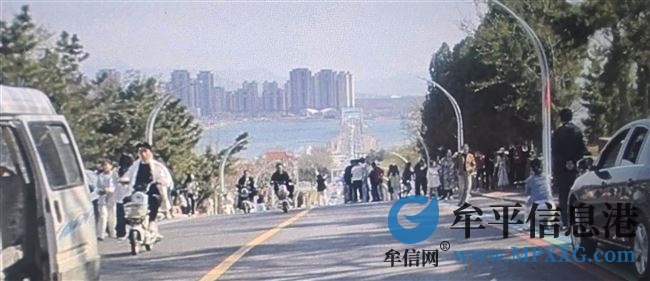 養(yǎng)馬島網(wǎng)紅蒼洱大道招商